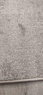 Alfombra pelo cortado Nile 2.00 x 3.00 - Imagen 2